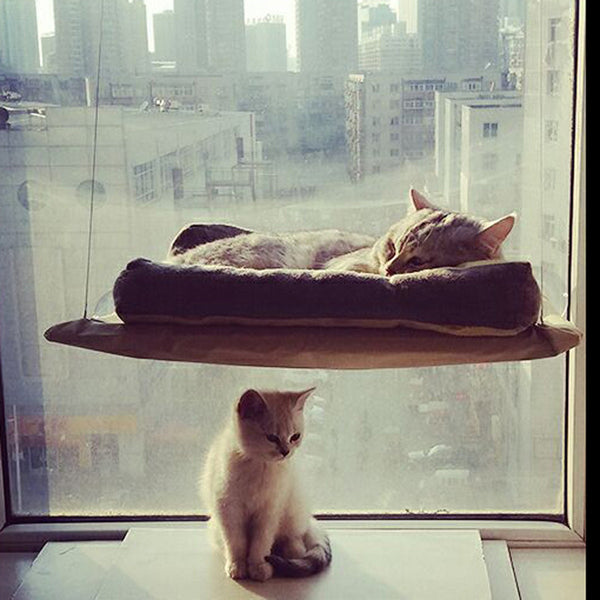 Hanging Bed and Window Perch For Cats