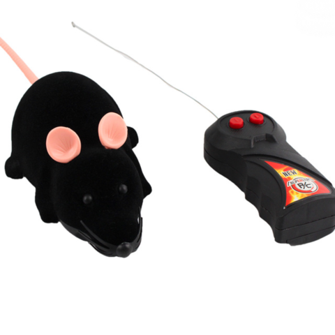 Funny Remote Control Mouse