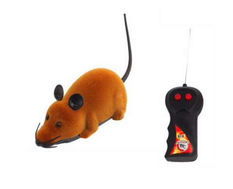 Funny Remote Control Mouse