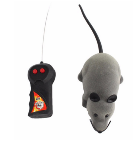 Funny Remote Control Mouse